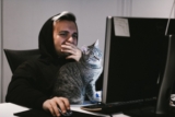Solucionar problemas informáticos causados por los gatos