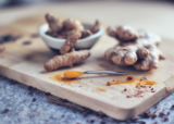 ¿Pueden los perros comer jengibre? ¿Es seguro para los perros?